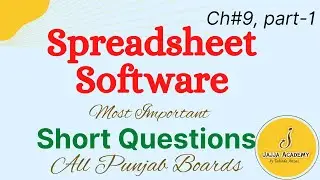 Spreadsheet Software Short Questions| MS Excel| 11th Class Computer Guess Paper| All Punjab Boards