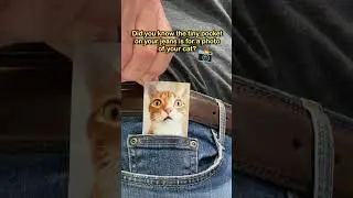 Cat People Did You Know This?