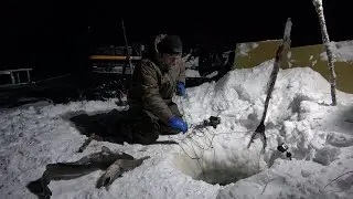Проверка перемета 15.01.2024