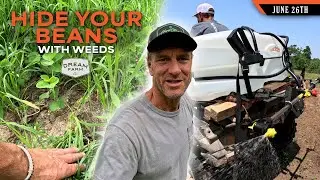 When to Spray Your Beans - Hide them with Weeds | Dream Farm w/ Bill Winke