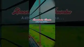 True Words 💯 WhatsApp Status