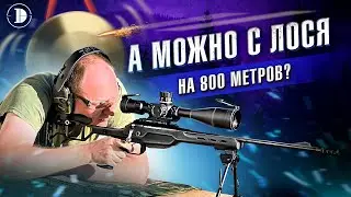 Лось и китайский прицел = стрельба на 800 метров