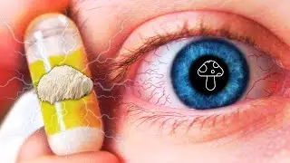 🍄Juba de Leão o Doping Mental Natural que Turbina Seu Cérebro Sem Efeitos Colaterais
