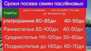 Как рассчитать сроки посева семян томатов, перца и баклажан для Подмосковья (и любого региона)?