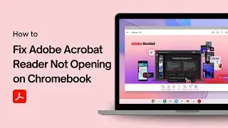 How to Fix Adobe Acrobat Reader Not Opening on Chromebook