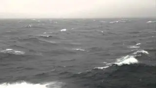 MS Oosterdam in rough Tasman Sea