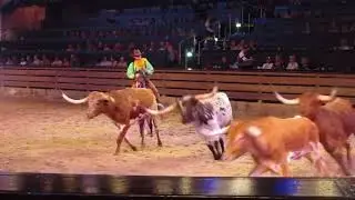 Dolly Parton's Dixie Stampede