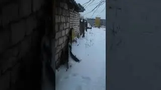 Спасаю котёнка