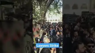 Lawyers Strike | Lahore Bar Association #law #legalconsultant #advocatehighcourt #pakistanbarcounci