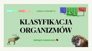 #22 Klasyfikacja organizmów 📊- taksony, rangi - matura z biologii 🌿 biologia rozszerzona 📕liceum