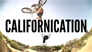 SEM KOK - 'CALIFORNICATION' | PROFILE RACING