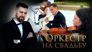 Ведущий Владимир Яцкевич / Свадьба 