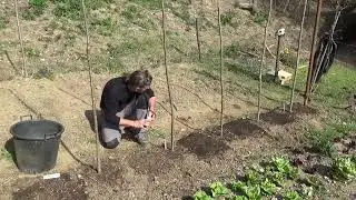 semine dirette nell'orto della cascina, basilico e insalate varie ...