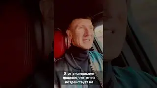 Влияние страха