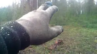 испытания юмз 6  МИТЯЯ в лесу