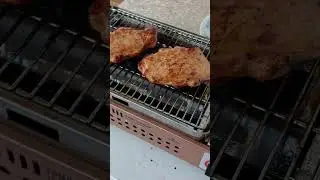 Гриль газовый, экологично и быстро, удобно на 1÷3 человека. #шашлыкдома