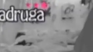 Zadruga Sex Šopičke i Karića 2