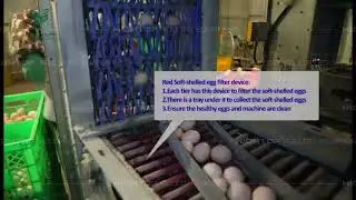 HIGHTOP automatic egg collection machine