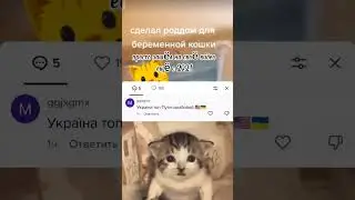 #рек #мем #тренд #рекомендации #россия #кошка #2021 #треш #котик #хештег