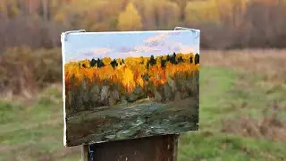 Этюд на состояние. Последние лучи #49