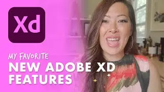 Scroll Groups and Stacks: My Favorite NEW Adobe XD Features!