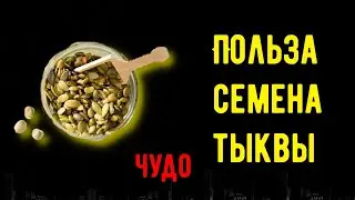 Семена тыквы - полезные и опасные свойства семечек... Чо