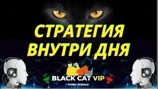 Стратегия торговли внутри дня для форекс. Торговая стратегия для разгона депозита BLACK CAT