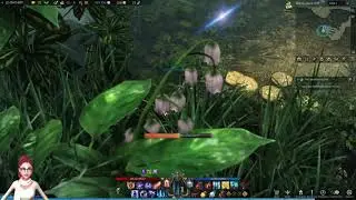 Lost Ark Hidden Story: Shape Of Love