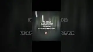 на своей волне #рек #мем #тренд #рекомендации #катаклизмы #катастрофы #землетрясение #огги #туапсе