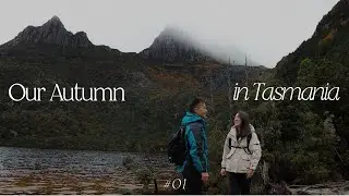 vlog | tasmania road trip (part 1) - cradle mountain hike, tasmania parks & wildlife!