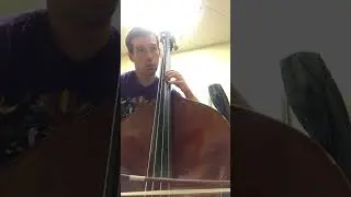 Mozart - Symphony No. 39 | Double Bass