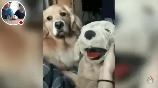 Стрим! РЕАКЦИЯ НА ПРИКОЛЫ ЮТУБ, ВЕСЕЛИМСЯ, ОБЩАЕМСЯ С ПОДПИСЧИКИКАМИ!!!