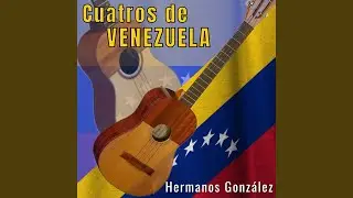 Toy Contento