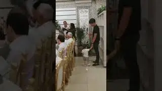 Dilnoza_ hakimova 