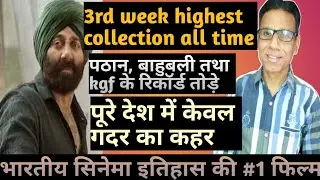 gadar 2 box office collection day 20 |prediction day 21| dreamgirl 2 day 6 & 7