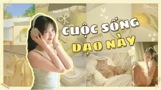 [vlog]: Cuộc sống chân thực của một content creator?