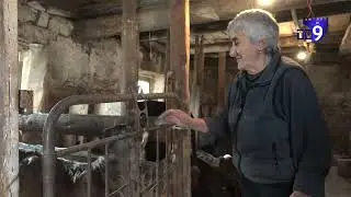 სოფელ დიდი პამაჯის მცხოვრები აიდა კირაკოსიანი სეზონურ სამუშაოებზე