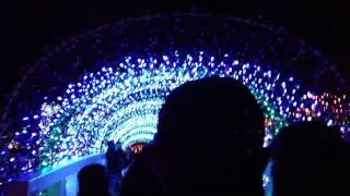 iPhone 4s Low Light (Christmas Lights at Rhema)