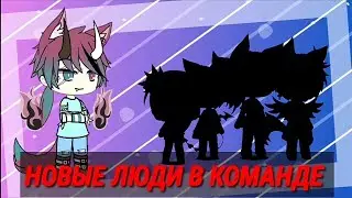 Итоги набора в команду