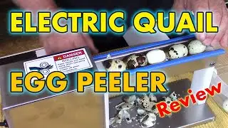 ELECTRIC QUAIL EGG PEELER - Review and Thoughts