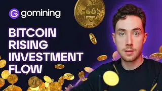 Bitcoin Rising Investment Inflows | GoMarket Weekly #11