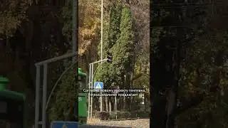 They want to make a street in the center of Bishkek a pedestrian zone!