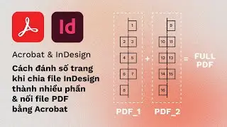 Cách đánh số trang khi chia file InDesign thành nhiều phần và nối file bằng Acrobat | kaorumap
