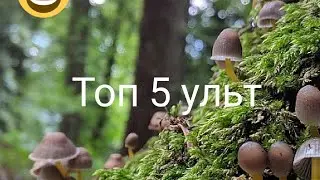 Топ 5 лучших ульт в бравл старс