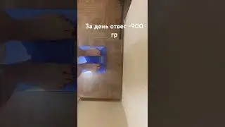 28 июня 2023 г.