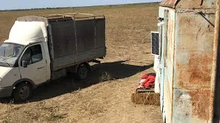 Перегнал овец на другое пастбище