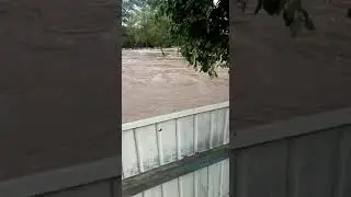 С. Угловое
