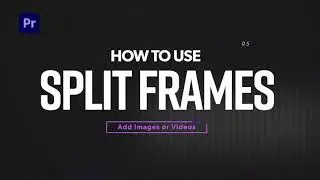 Motion Pro V2 How to Use Split-Frames