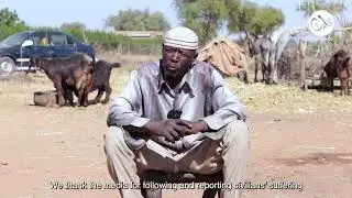 Darfur: The mysterious death of donkeys over Christmas
