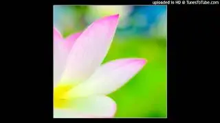 Chants du Village des Pruniers - Quand j'inspire, quand j'expire